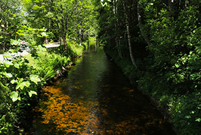 Vchynicko-Tetovský kanál